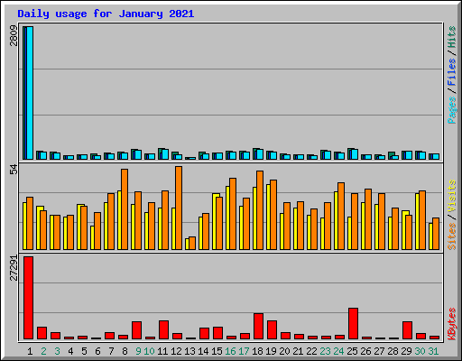 Daily usage for January 2021