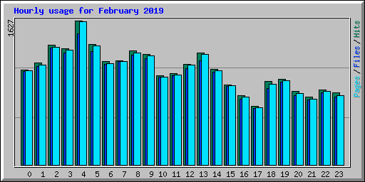 Hourly usage for February 2019