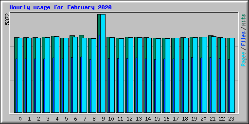 Hourly usage for February 2020