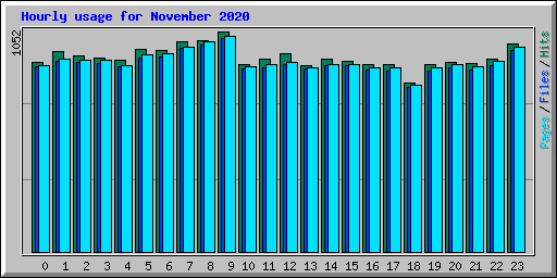 Hourly usage for November 2020