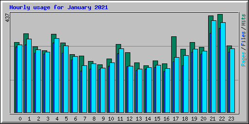 Hourly usage for January 2021