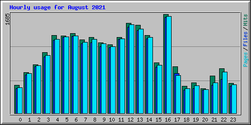 Hourly usage for August 2021