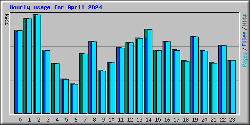 Hourly usage for April 2024