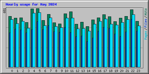 Hourly usage for May 2024