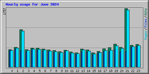 Hourly usage for June 2024