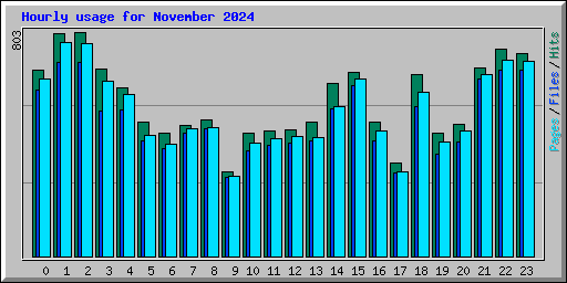 Hourly usage for November 2024